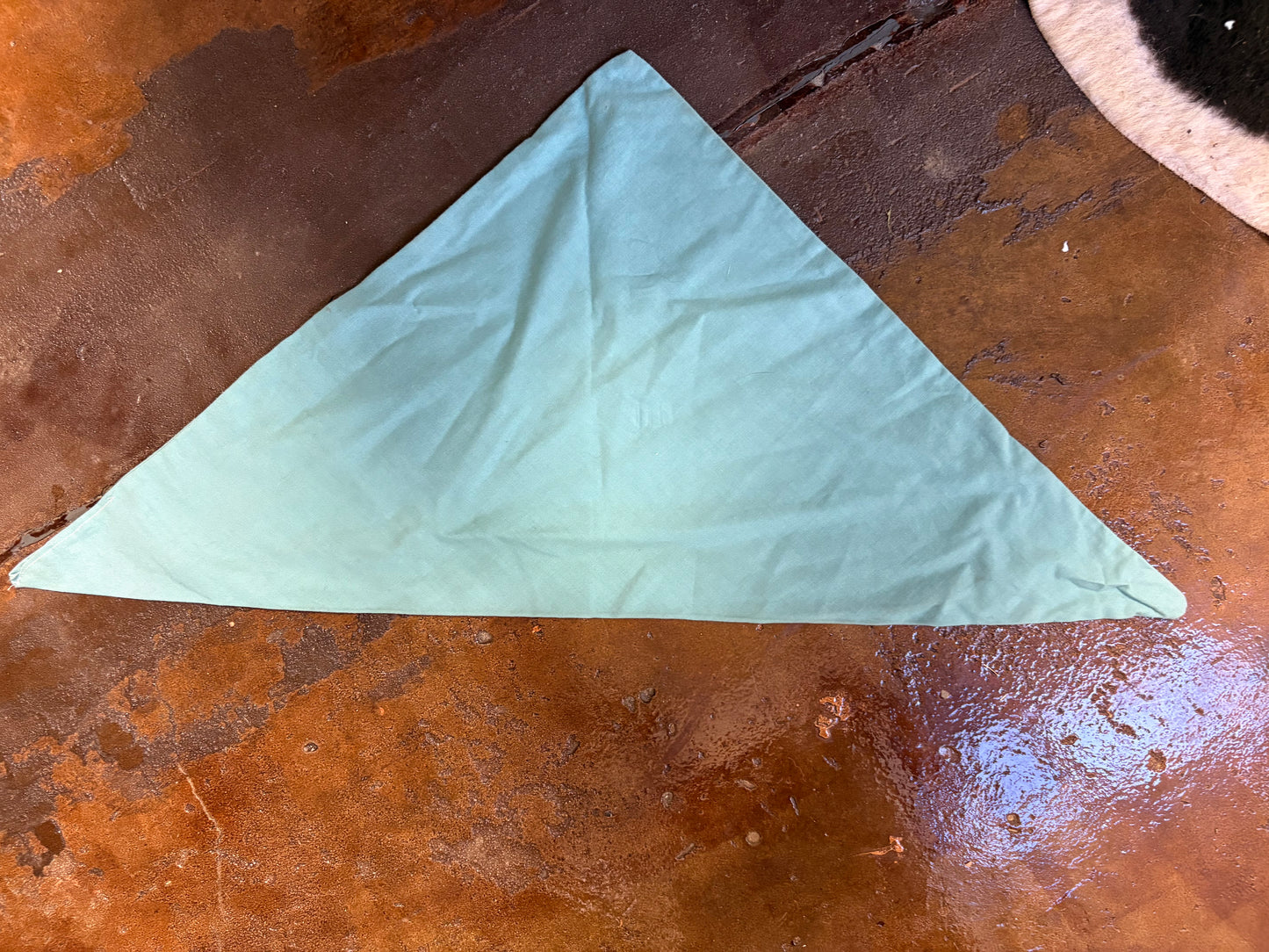 NECK SCARF