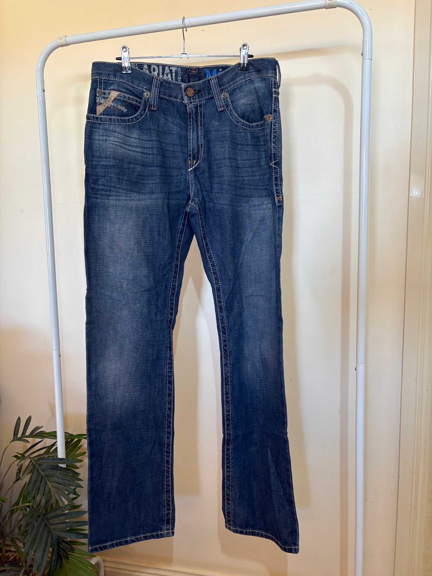 ARIAT (30x34)