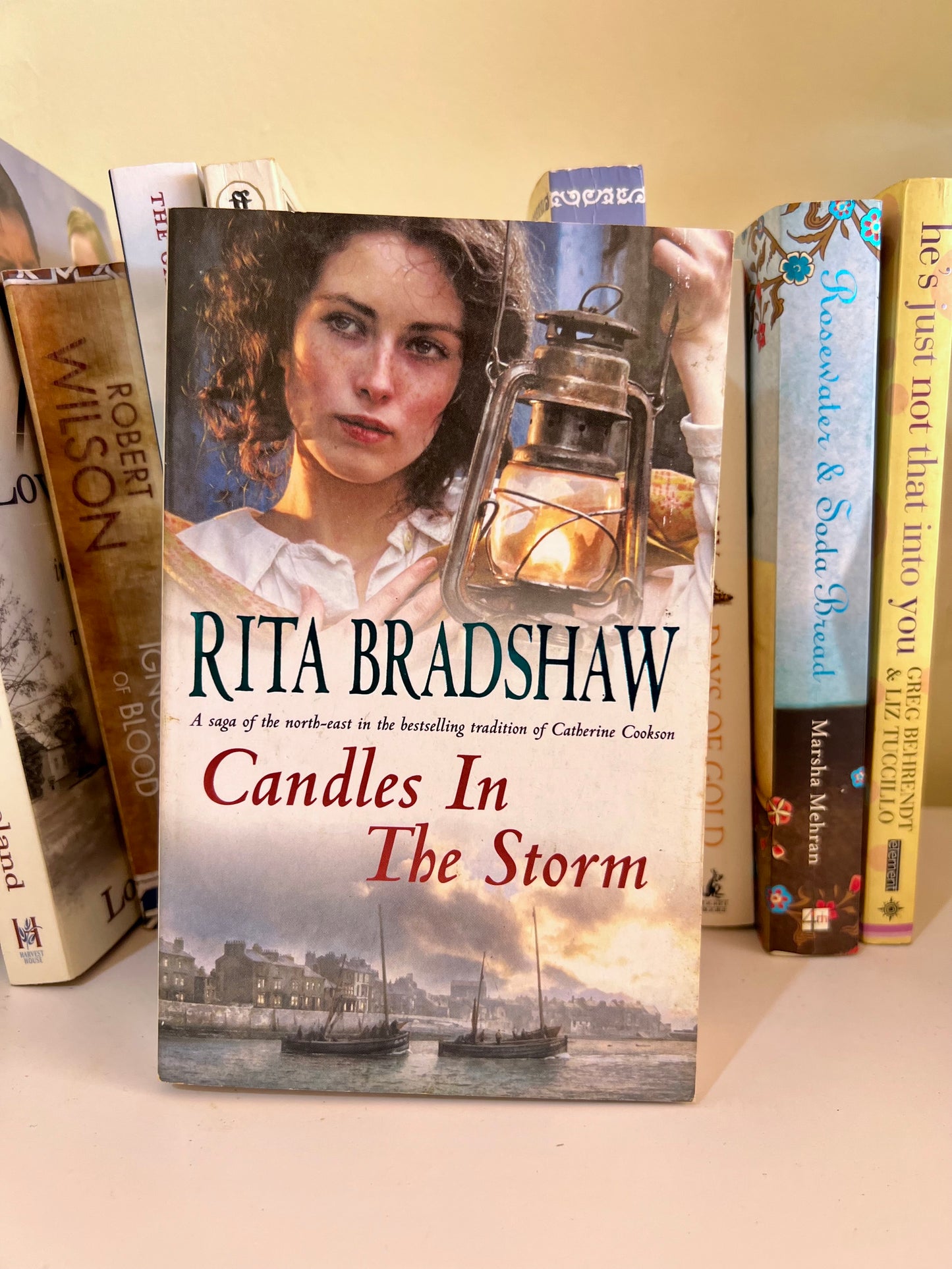 BOOK- CANDLES IN THE STORM