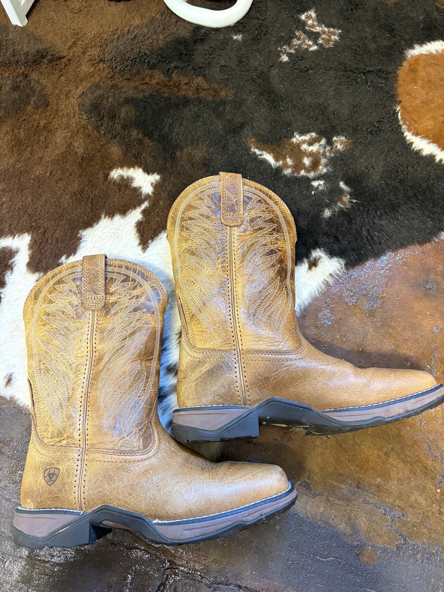 ARIAT (6.5W)