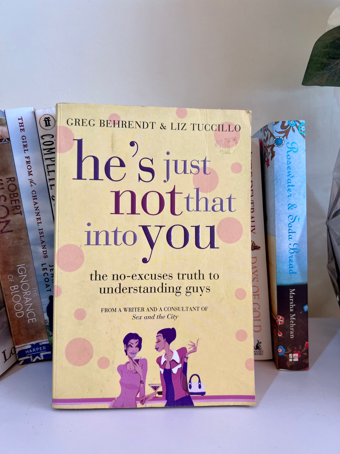 BOOK- HES JUST NOT THAT INTO YOU