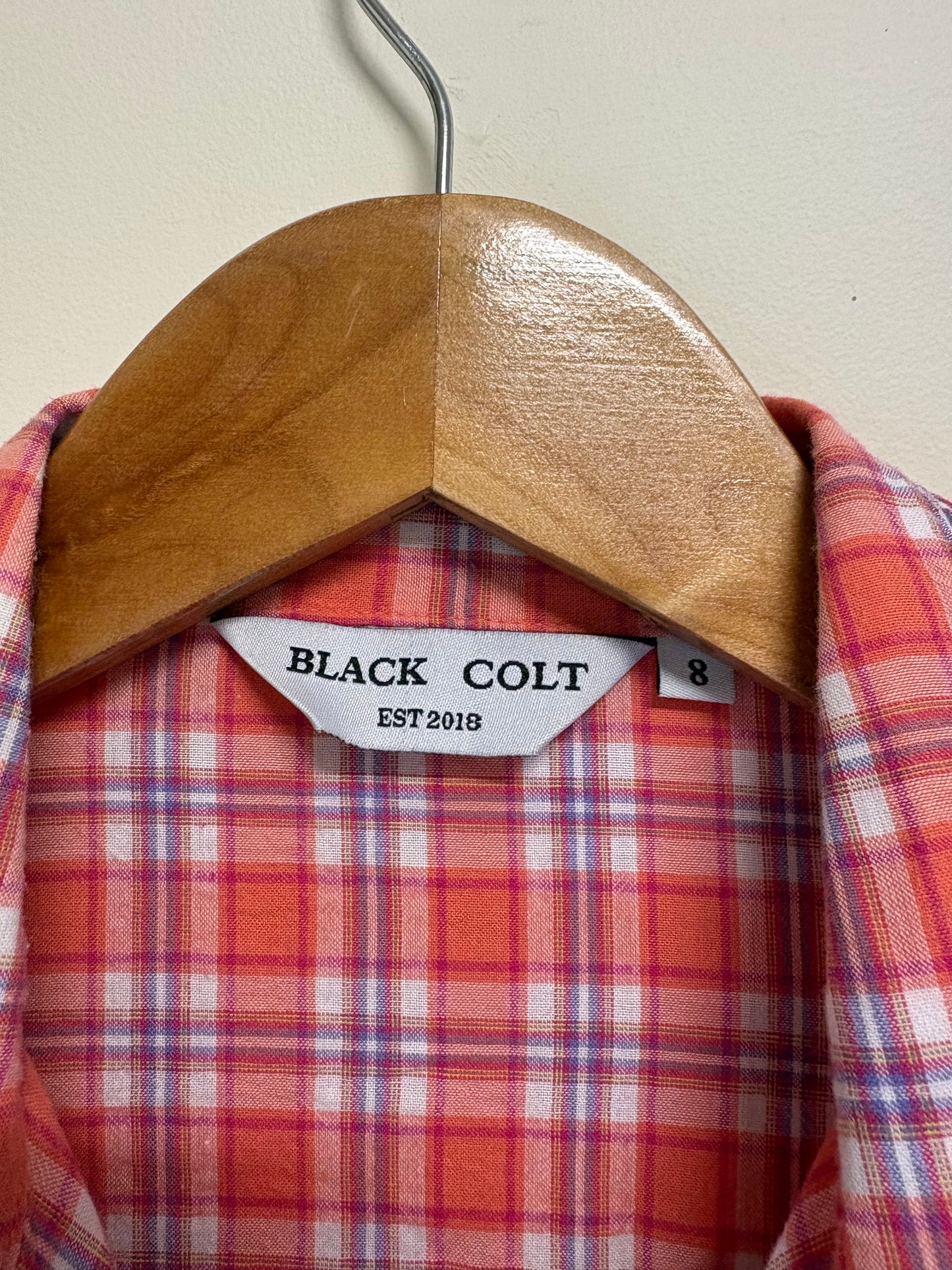 BLACK COLT (8)