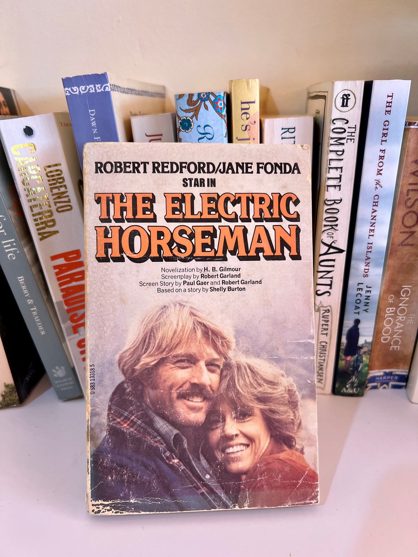 BOOK- THE ELECTRIC HORSEMAN