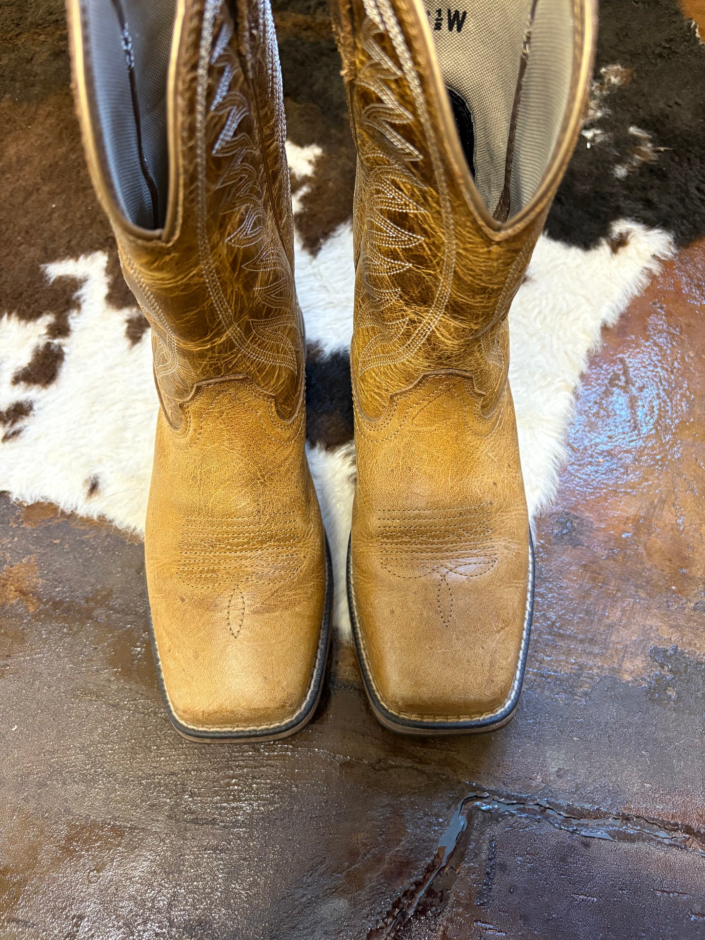 ARIAT (6.5W)