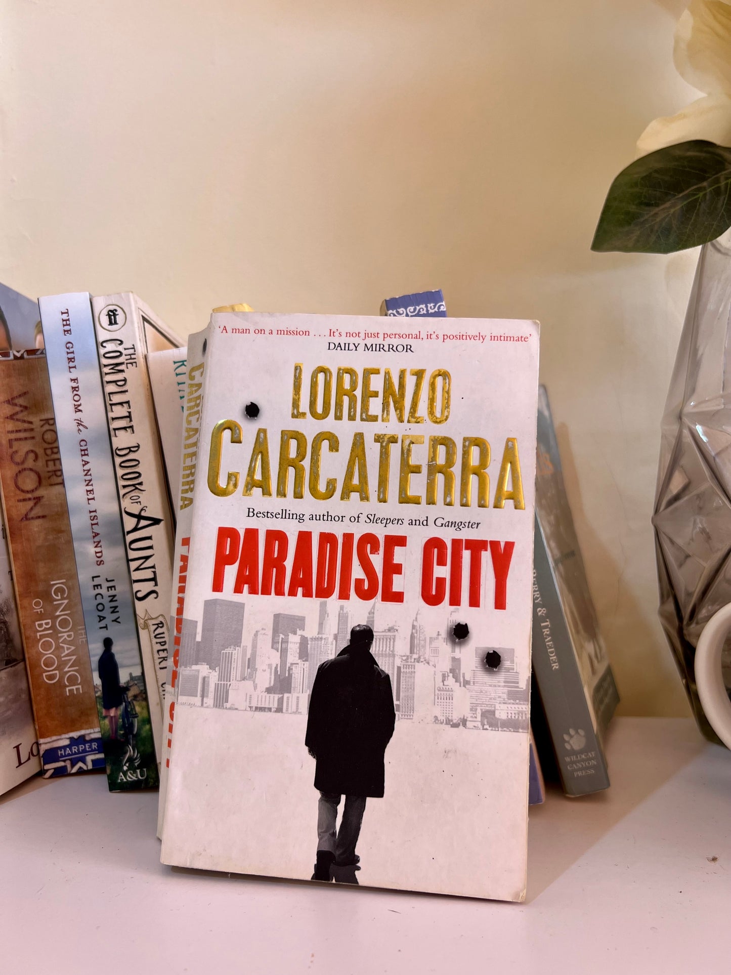 BOOK- PARADISE CITY