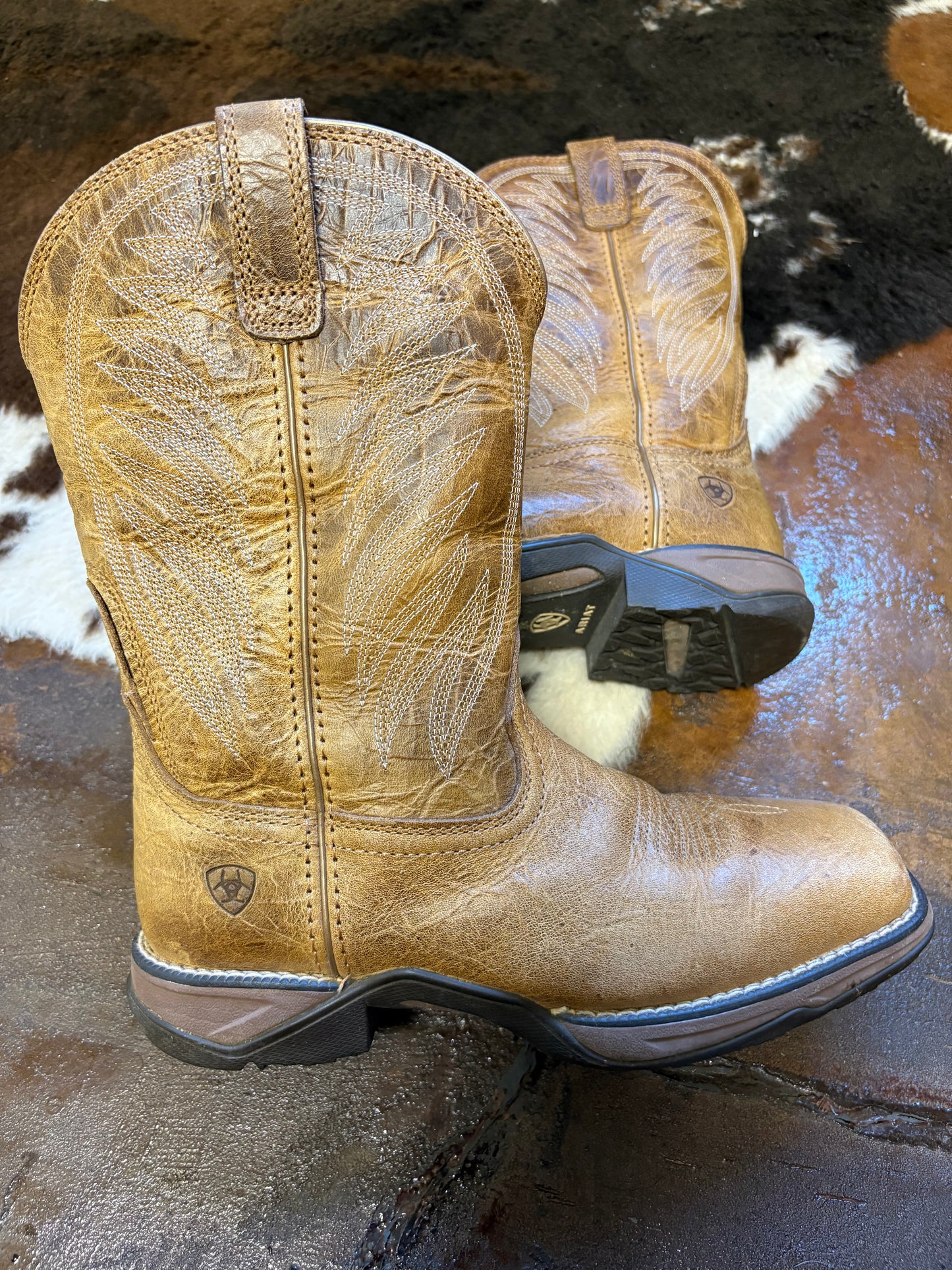 ARIAT (6.5W)
