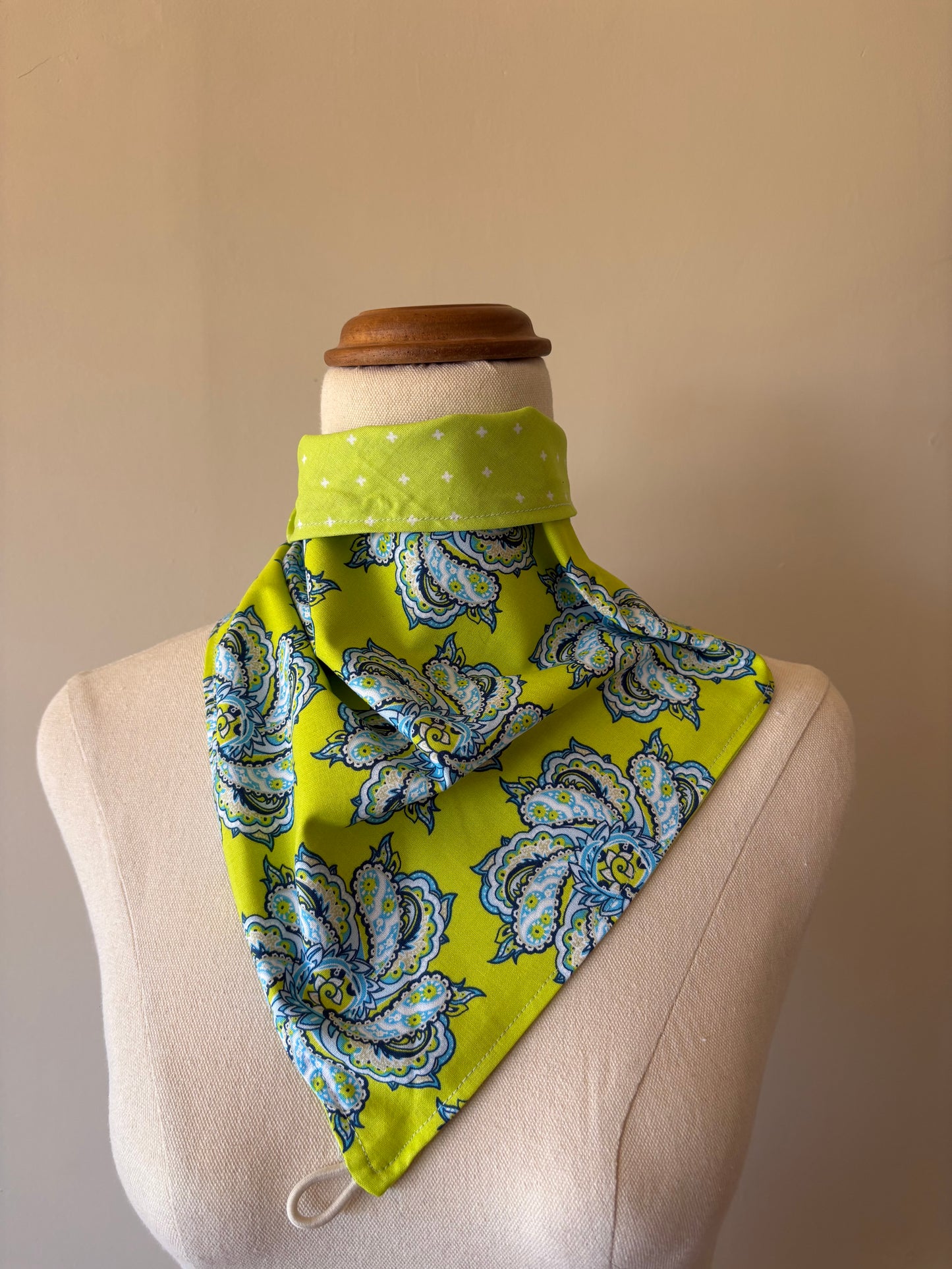 LIME BURST