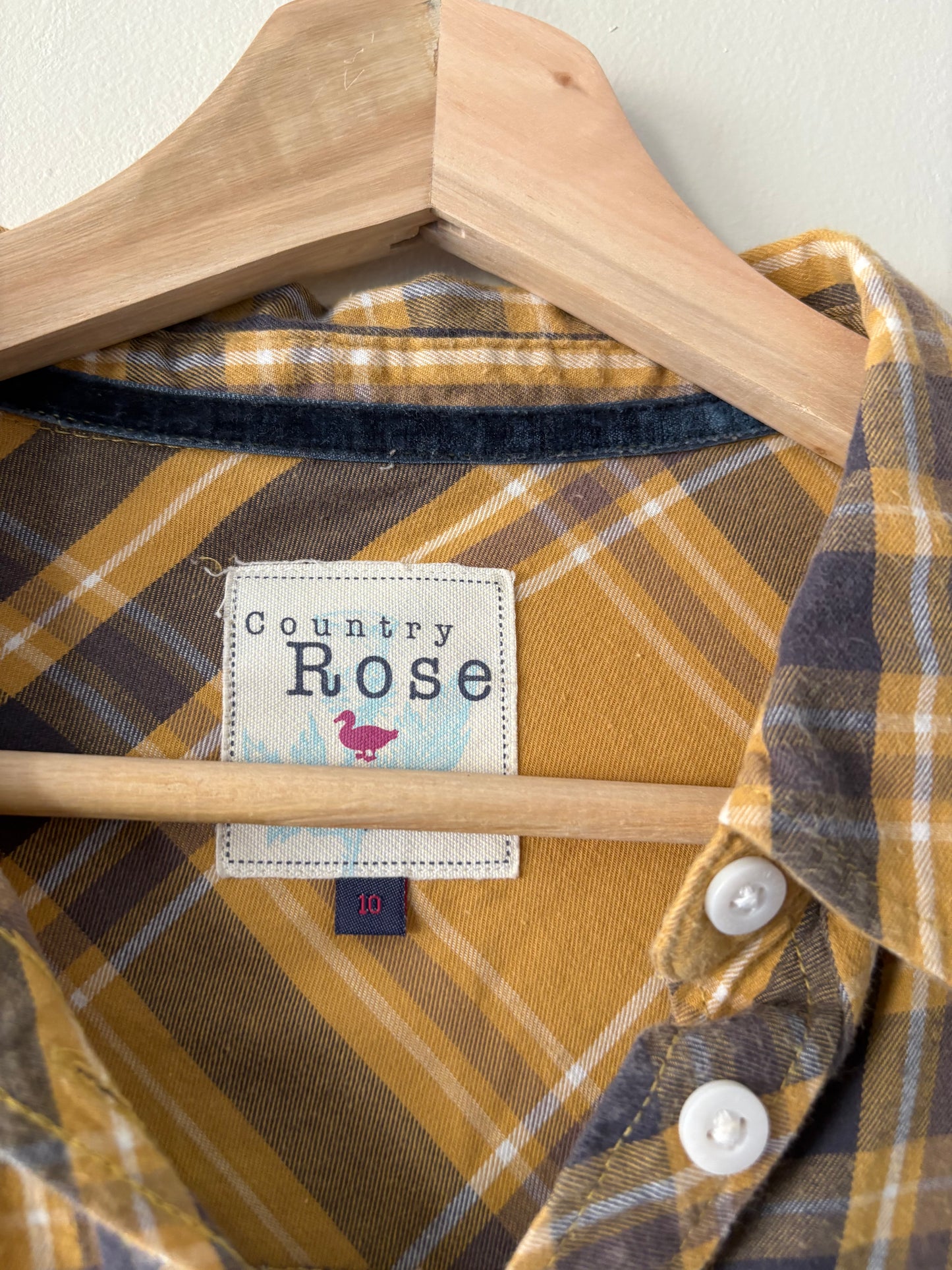 COUNTRY ROSE (10)