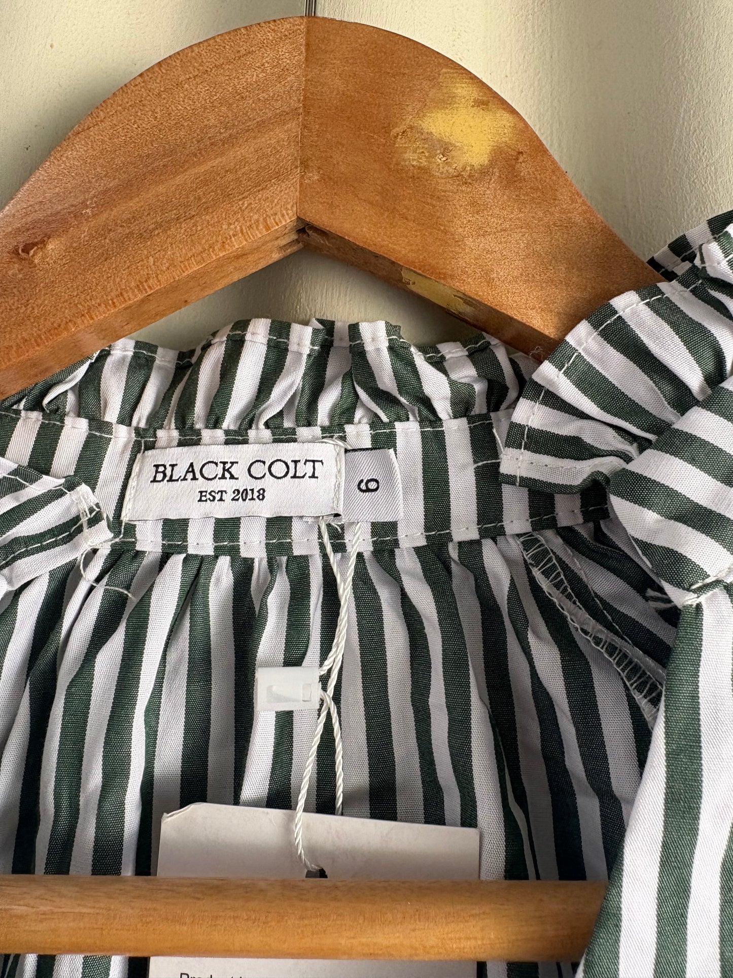 BLACK COLT (6)
